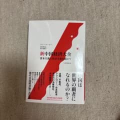 新中国経済大全 資本主義と社会主義を超えてのサムネイル