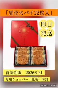 ガトウ専科♡夏花火パイ♡ギフト箱22枚入♡賞味最長2026.9.11♡ - メルカリ