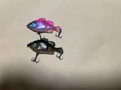 ジャッカル　ベビーギロンのサムネイル
