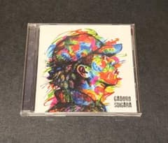 GADORO / SUIGARAのサムネイル