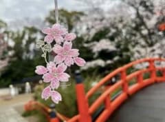 京都 下鴨神社 四季守 限定 桜レース 1体
