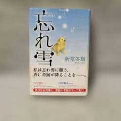 【感動恋愛小説】忘れ雪 新堂冬樹｜泣ける名作・人気文学作品
