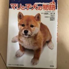 マリと子犬の物語のサムネイル