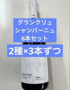 フランスシャンパーニュワリスユベールゼロドサージュリリアル 750ml×6本 ワリスユベール GC ゼロドサージュ リリアル 750ml | 成城石井.com