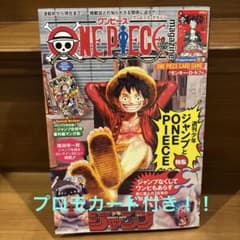 ワンピースマガジン20号 付録付き ワンピースカード - メルカリ