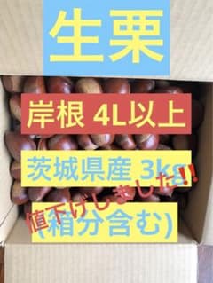 生栗 「岸根」4L以上 茨城県産 3kg(箱分含む)のサムネイル
