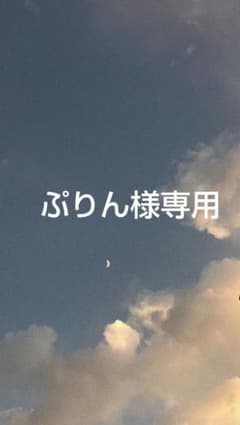 ぷりん様専用のサムネイル