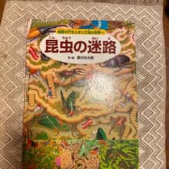 昆虫の迷路のサムネイル