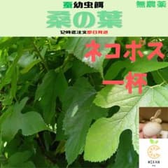 桑の葉 蚕幼虫の餌 ネコポス一杯 - メルカリ