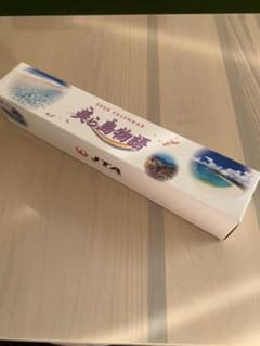 【新品】JAL/JTA 美ら島物語 2020 カレンダーのサムネイル