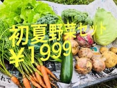 お待たせしました！初夏野菜セット80サイズ 5のサムネイル