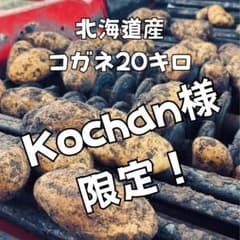 【食卓レスキュー】新じゃが北海コガネ20kg kochan様限定のサムネイル
