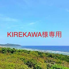 KIREKAWA様専用のサムネイル