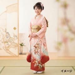 豪華振袖】正絹 御所車 飛鶴花文 暈し染め 金彩 桜 菊 成人式 ピンク
