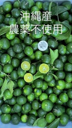 沖縄産のシークワーサーです❗️農薬不使用‼️1キロ以上のサムネイル