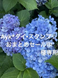 Ayk*ダイ•スタンプ☆おまとめセール中様専用のサムネイル