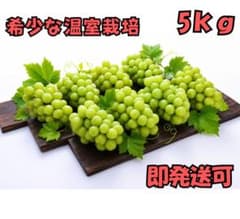 早出し希少【岡山県産】ハウス栽培高級シャインマスカット 大粒 5kg 7
