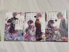 わたしの幸せな結婚 小説 1巻から3巻セットのサムネイル