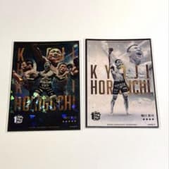 【希少】RIZIN ライコレリアルカード　堀口恭司　2枚セット 希少】RIZIN ライコレリアルカード 堀口恭司 2枚セット - メルカリ