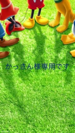 専用です。のサムネイル