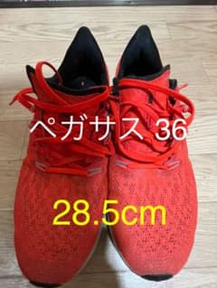 NIKE ペガサス36 28.5cm【即日発送】のサムネイル