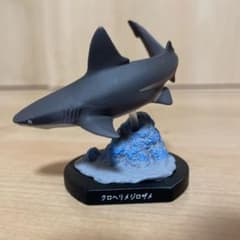 m13690129832_1.jpg?1623842135
