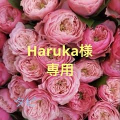 Haruka様専用ページのサムネイル