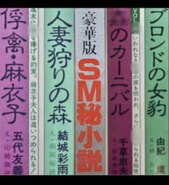 絶版】SMマニア93年1月～8月 性隷販売人①結城彩雨 （挿画 ） 楡畑雄二