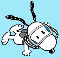 うさぽん様専用のサムネイル