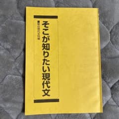駿台 そこが知りたい現代文 内野博之先生担当分 - メルカリ