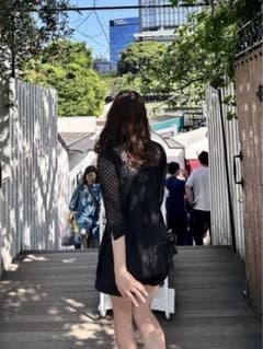 シースルー　トップス