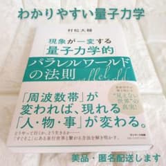 現象が一変する「量子力学的」パラレルワールドの法則 村松大輔のサムネイル