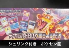 ポケモンカードゲーム スカーレット＆バイオレットデッキビルドBOX黒炎の支配者のサムネイル