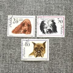 3039【消印有：海外切手(ポーランド)】かわいい犬切手 3枚セット 動物
