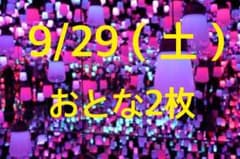 チームラボ ボーダレス お台場 大人チケット2枚 9月29日のサムネイル