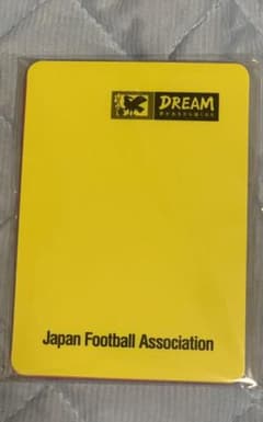 イエローカード、レッドカードのサムネイル