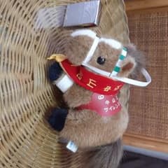 サイレンススズカ　中山記念のサムネイル