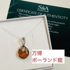 新品】S&A ペンダントトップ 蜂 シルバー 万博 ポーランド館