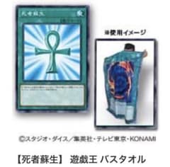 m13733703002_1.jpg?1714032377