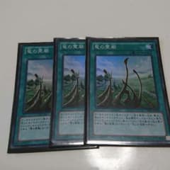 竜の霊廟スー３枚のサムネイル
