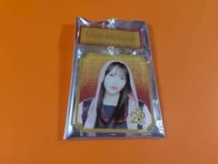 向井地美音 AKB48 SPECIALくじ 2連アクリルキーホルダー 日本武道館