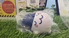 たまごっち ぷにぷにし隊 みみっちのサムネイル