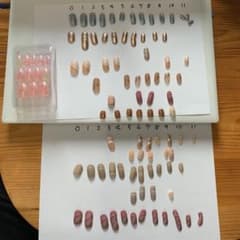 プレス&ゴー　欠番有りのサムネイル