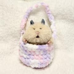 はむにぎり‪☆お出かけバッグのサムネイル