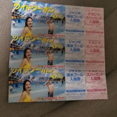 ナガシマスパーランドワイドクーポン3冊のサムネイル