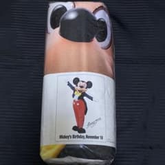 ディズニー ミッキーマウス 実写 特大タオルのサムネイル