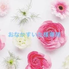 ライジングサン2012パスケースのサムネイル