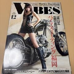 VIBES 2015年12月号 Vol.266のサムネイル
