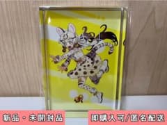けものフレンズV LIVE はろーじゃぱん アクリルブロック ジョフロイネコ けものフレンズV LIVE はろーじゃぱん アクリルブロック