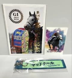 マッドクール号　マフラータオル型キーホルダー&御駿印&ICカード着せ替えシールのサムネイル